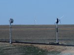 Faces of the plains